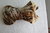 Hundemantel Kawikani Leopard