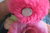Snap Button Rosa Flower 3-er Set